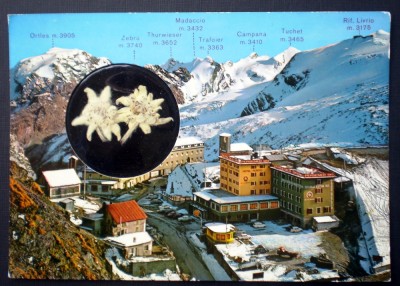 P.143 ITALIA PASSO DELLO STELVIO FLORI DE COLT NATURALE foto