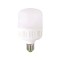 Bec LED 40W E27 6500K
