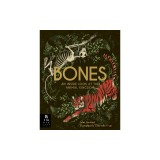 Bones: An Inside Look at the Animal Kingdom