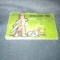 MEDDLESOME MIKE CARTE PENTRU COPII 3D