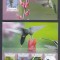 Sao Tome si Principe - PASARI - COLIBRI - BL + KB - MNH
