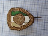 insigna militar de frunte, proba 4.