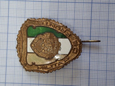 insigna militar de frunte, proba 4. foto