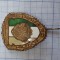 insigna militar de frunte, proba 4.