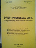 Viorel Mihai Ciobanu - Drept procesual civil