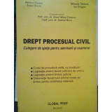 Viorel Mihai Ciobanu - Drept procesual civil