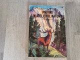 Priviri in atelierul naturii de Ionel Pop