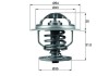 MAHLE TX 109 87D termostat,lichid racire