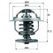 MAHLE TX 109 87D termostat,lichid racire