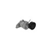 Intinzator curea SMART FORFOUR 454 DAYCO APV2832
