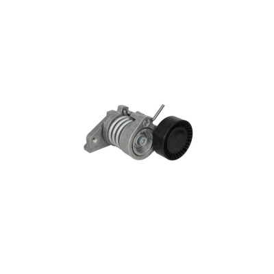 Intinzator curea SMART FORFOUR 454 DAYCO APV2832 foto