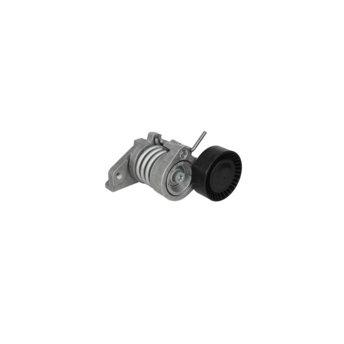 Intinzator curea SMART FORFOUR 454 DAYCO APV2832