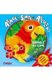 Animale din lume: atinge, simte, asculta