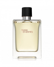 Hermes -TERRE D&amp;#039;HERMES 100 ml | Parfum foto