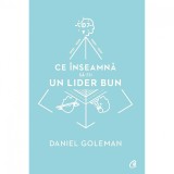 Ce inseamna sa fii un lider bun. De ce este importanta inteligenta emotionala - Daniel Goleman, Curtea Veche