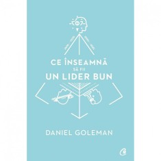 Ce inseamna sa fii un lider bun. De ce este importanta inteligenta emotionala - Daniel Goleman