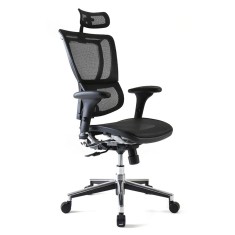 SCAUN DE BIROU ERGONOMIC MIRUS PDH BASIC