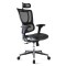SCAUN DE BIROU ERGONOMIC MIRUS PDH BASIC