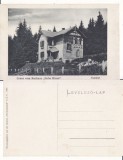 Paltinis (Sibiu, Hermannstadt )- rara