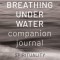 Breathing Under Water Companion Journal: Spirituality and the Twelve Steps