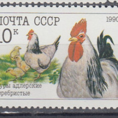 URSS RUSIA 1990 FAUNA DOMESTICA SERIE MNH