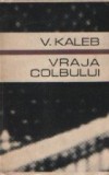 Vraja colbului