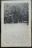 Carte postala, Arad, vedere din parc, perioada interbelica