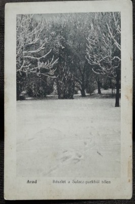 Carte postala, Arad, vedere din parc, perioada interbelica foto