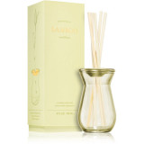 Paddywax Flora Bamboo aroma difuzor cu rezerv&atilde; 118 ml