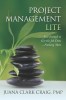 Project Management Lite: Just Enough to Get the Job Done, Nothing More