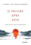 O privire spre Asia. Amintirile unui ambasador - Paperback brosat - Viorel Isticioaia-Budura - Litera