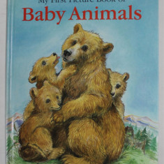 MY FIRST PICTURE BOOK OF BABY ANIMALS by LINDA JENNINGS , illustrated by LESLEY SMITH , 1999