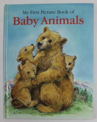 MY FIRST PICTURE BOOK OF BABY ANIMALS by LINDA JENNINGS , illustrated by LESLEY SMITH , 1999 foto