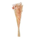 Buchet Decorativ cu Flori Artificiale Roz Coada Iepurelui Bunny Tails 50cm