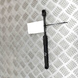 Amortizor capota st&acirc;nga față BMW 3 G20, G28 2019 OEM: 7419387 28992573