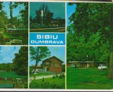 CPIB 16128 CARTE POSTALA - SIBIU, DUMBRAVA, MOZAIC, Necirculata, Fotografie