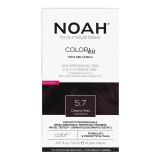 Vopsea de par naturala fara amoniac, 5.7 Saten violet, Color kit, 140 ml, Noah