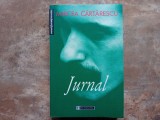 JURNAL - MIRCEA CARTARESCU, 2001