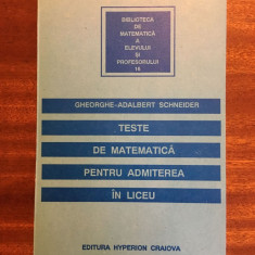 Schneider - Teste de matematica pentru admiterea in liceu (1996 - Ca noua!)