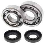 Cumpara ieftin Lagare cu arbore cotit set cu garnituri pentru KAWASAKI KX 125 1985-1987