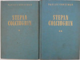 Stepan Colciughin (2 volume) &ndash; Vasili Grossman