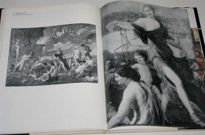 Poussin - Irina Mavrodin foto