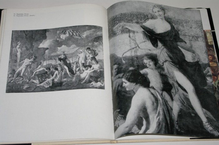 Poussin - Irina Mavrodin