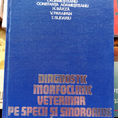 Diagnostic morfoclinic veterinar pe specii si sindroame