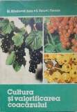 CULTURA SI VALORIFICAREA COACAZULUI-GH. MIHALCA, M. BOTEZ, R. VIERU, I. FLORESCU m1 2