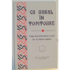 CA AURUL IN TOPITOARE , VIATA MUCENICEASCA A UNUI IOV AL ZILELOR NOASTRE , 2006