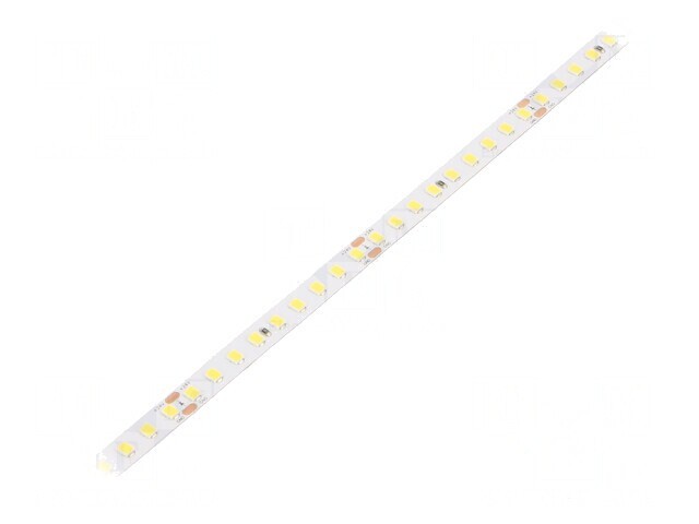 Bandă LED Alb Rece 24V 6W/m IP20