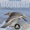 Moonbird: A Year on the Wind with the Great Survivor B95