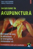 Incursiune in acupunctura. Numarul de aur in structura si energetica sistemelor vii (medicina chineza terapie alternativa energie acupuncturii reiki)