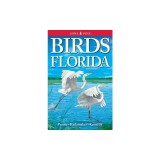 Birds of Florida
